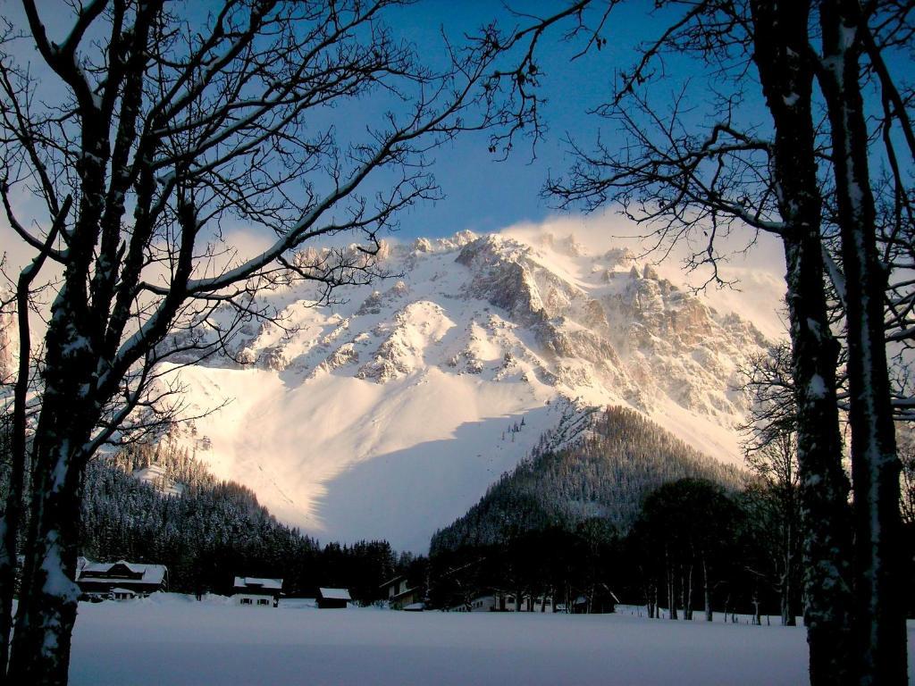 Pension Bergpracht Ramsau am Dachstein Ngoại thất bức ảnh