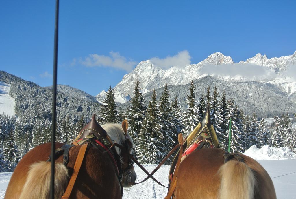Pension Bergpracht Ramsau am Dachstein Ngoại thất bức ảnh